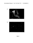 METHODS AND COMPOSITIONS FOR REGULATING BIOFILM DEVELOPMENT diagram and image
