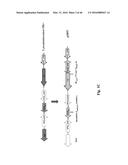 Genetically Modified Yersinia as Vaccines Against Yersinia Species diagram and image