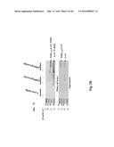 Genetically Modified Yersinia as Vaccines Against Yersinia Species diagram and image