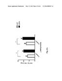 Genetically Modified Yersinia as Vaccines Against Yersinia Species diagram and image