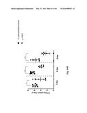 Genetically Modified Yersinia as Vaccines Against Yersinia Species diagram and image