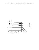 Genetically Modified Yersinia as Vaccines Against Yersinia Species diagram and image