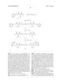 Modified Hydrogels diagram and image