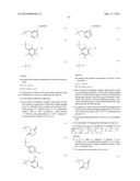 Modified Hydrogels diagram and image