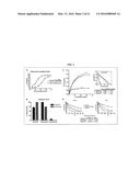 Dock-and-Lock (DNL) Constructs for Human Immunodeficiency Virus (HIV)     Therapy diagram and image