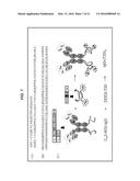 Dock-and-Lock (DNL) Constructs for Human Immunodeficiency Virus (HIV)     Therapy diagram and image