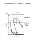 Dock-and-Lock (DNL) Constructs for Human Immunodeficiency Virus (HIV)     Therapy diagram and image