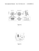 MRI CONTRASTING AGENT FOR CONTRASTING CANCER CELL diagram and image