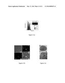 MRI CONTRASTING AGENT FOR CONTRASTING CANCER CELL diagram and image