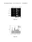 MRI CONTRASTING AGENT FOR CONTRASTING CANCER CELL diagram and image