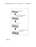 POLYMER-TISSUE HYBRID BIOMATERIALS AND METHODS OF MAKING AND USING SAME diagram and image