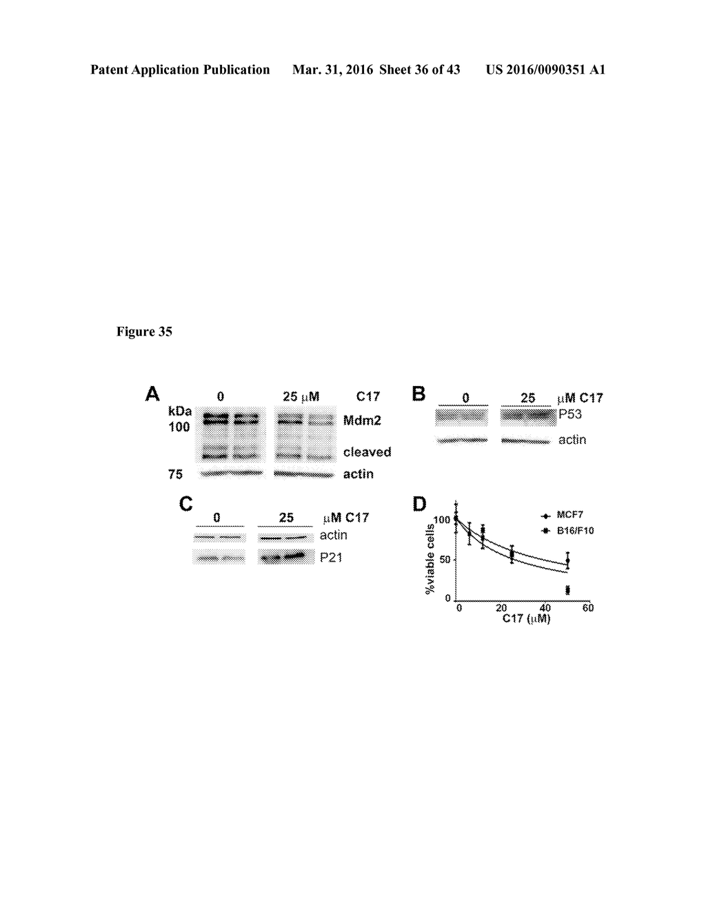 INHIBITORS OF DEUBIQUITINATING PROTEASES - diagram, schematic, and image 37