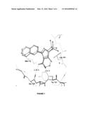 5-AMINOPYRAZOLE-4-CARBOXAMIDE INHIBITORS OF CDPK1 FROM T. GONDII AND C.     PARVUM diagram and image