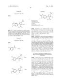 5-AMINOPYRAZOLE-4-CARBOXAMIDE INHIBITORS OF CDPK1 FROM T. GONDII AND C.     PARVUM diagram and image