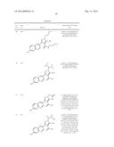 5-AMINOPYRAZOLE-4-CARBOXAMIDE INHIBITORS OF CDPK1 FROM T. GONDII AND C.     PARVUM diagram and image