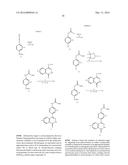 PHTHALAZINONES AND ISOQUINOLINONES AS ROCK INHIBITORS diagram and image