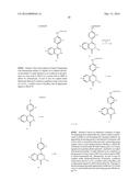 PHTHALAZINONES AND ISOQUINOLINONES AS ROCK INHIBITORS diagram and image