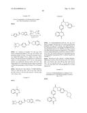 PHTHALAZINONES AND ISOQUINOLINONES AS ROCK INHIBITORS diagram and image