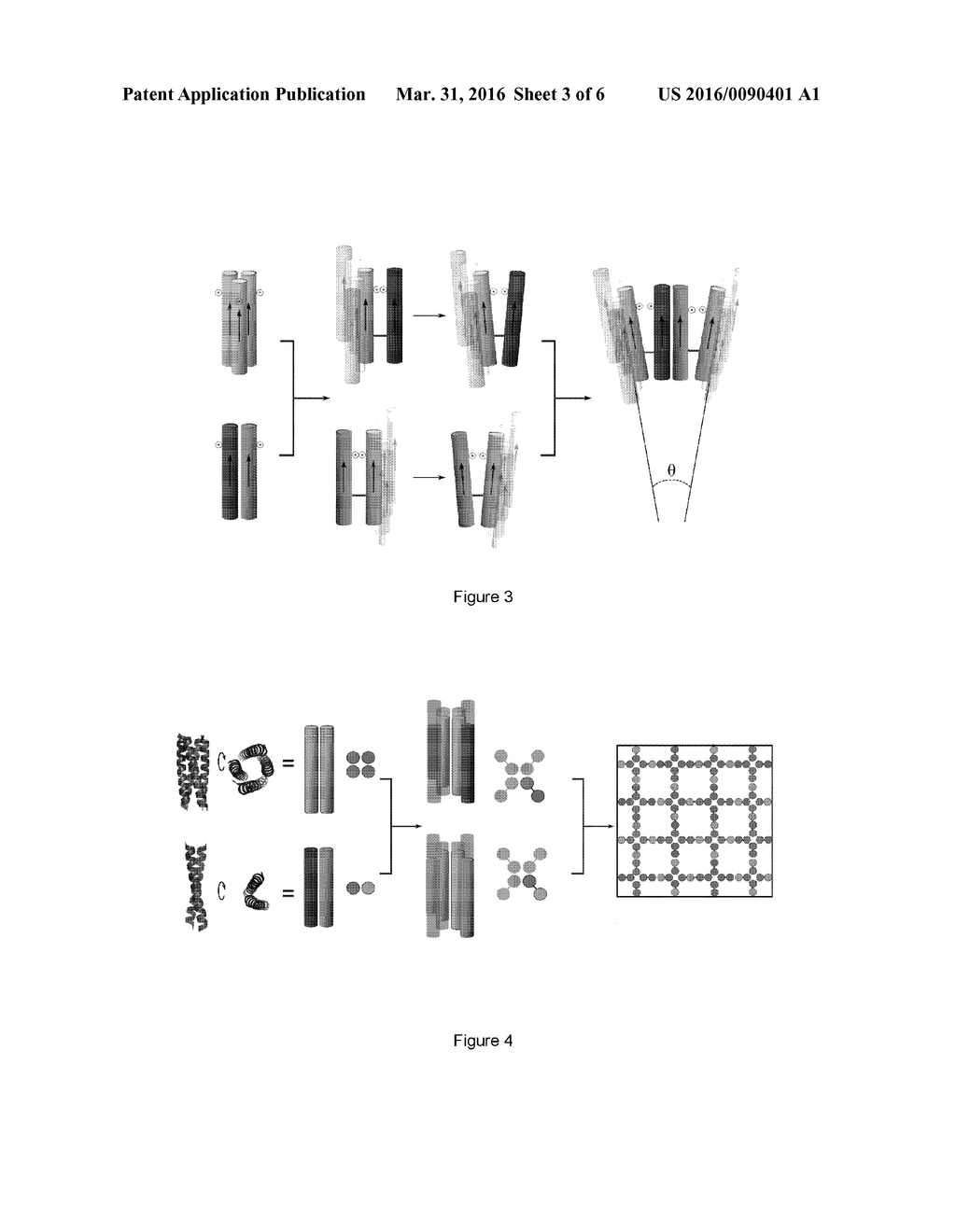 SELF-ASSEMBLING PEPTIDE CAGES FROM COILED-COIL PEPTIDE MODULES - diagram, schematic, and image 04