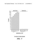 MODIFIED BIOTIN-BINDING PROTEIN, FUSION PROTEINS THEREOF AND APPLICATIONS diagram and image