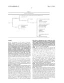 MODIFIED BIOTIN-BINDING PROTEIN, FUSION PROTEINS THEREOF AND APPLICATIONS diagram and image