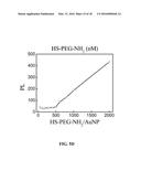 CONJUGATED GOLD NANOPARTICLES diagram and image