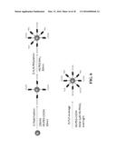 CONJUGATED GOLD NANOPARTICLES diagram and image