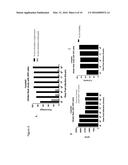 A PROCESS FOR THE PRODUCTION OF ADENOVIRUS diagram and image