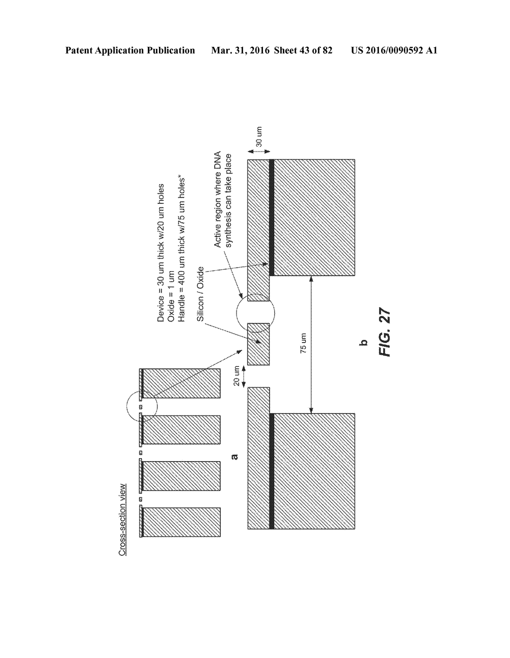 DE NOVO SYNTHESIZED GENE LIBRARIES - diagram, schematic, and image 44