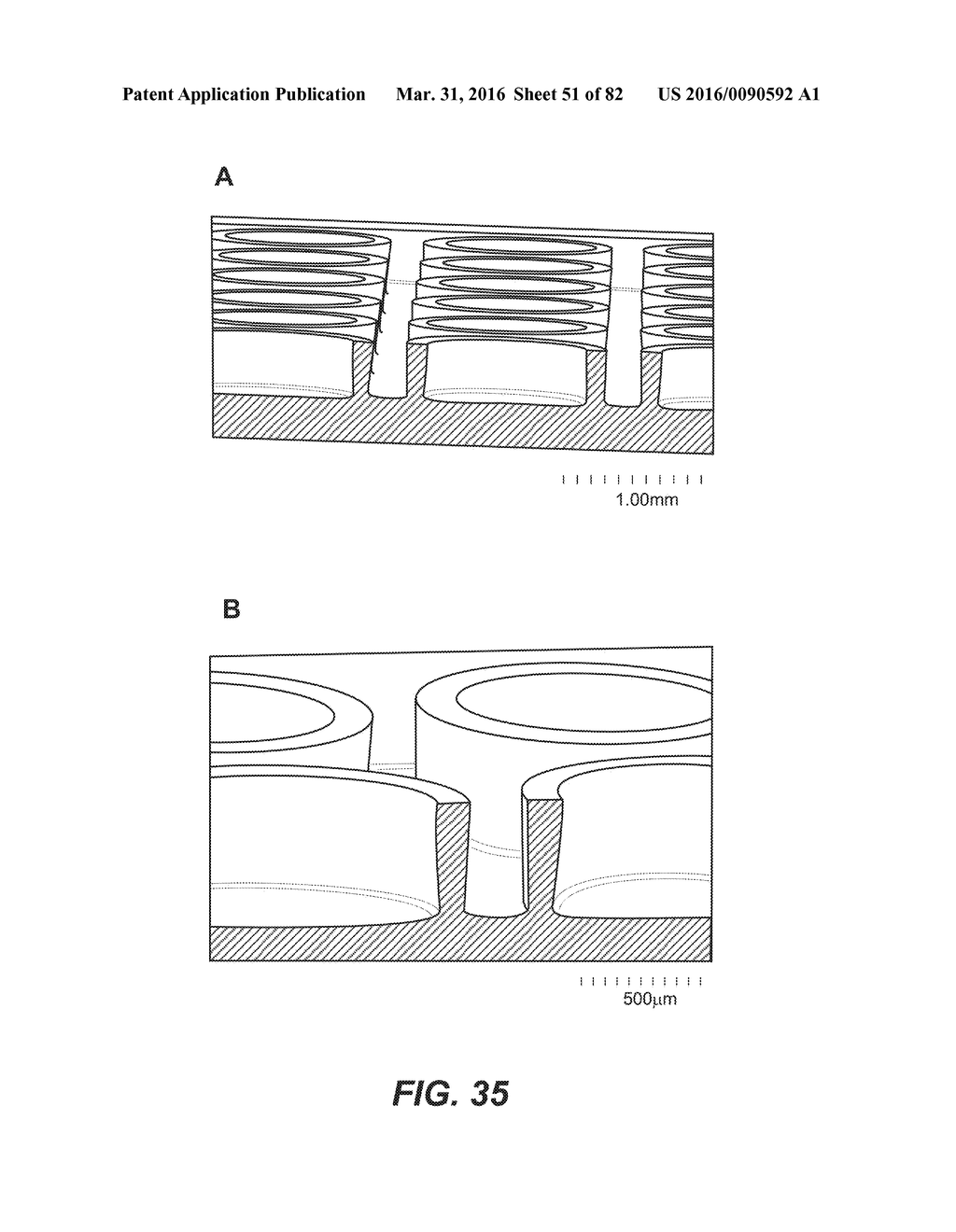 DE NOVO SYNTHESIZED GENE LIBRARIES - diagram, schematic, and image 52