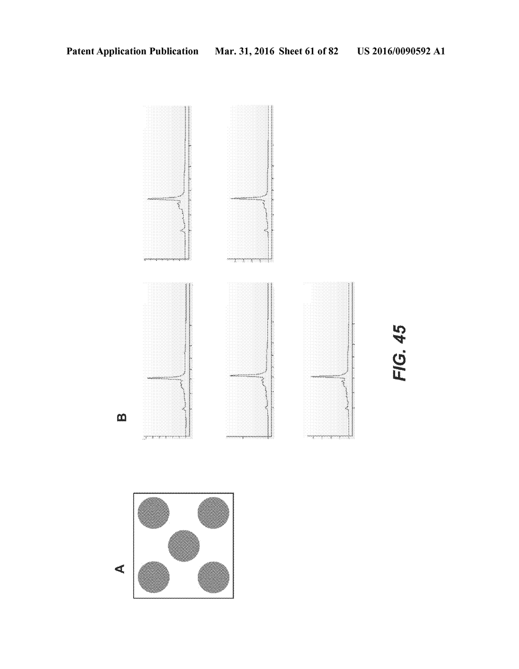 DE NOVO SYNTHESIZED GENE LIBRARIES - diagram, schematic, and image 62