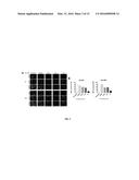 ANTISENSE COMPOUNDS AND USES THEREOF diagram and image