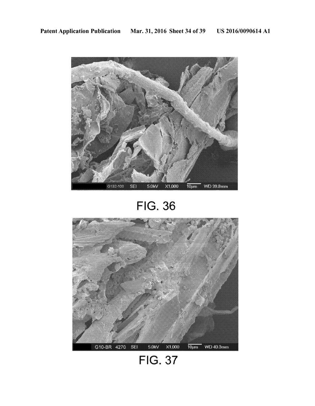 PROCESSING BIOMASS - diagram, schematic, and image 35