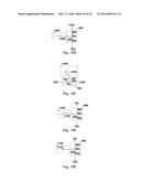 LED TUBE LAMP diagram and image