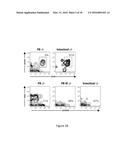 METHODS FOR DIAGNOSIS OF CELIAC DISEASE diagram and image