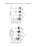 DIAGNOSTIC METHOD FOR HEPATIC CANCER diagram and image