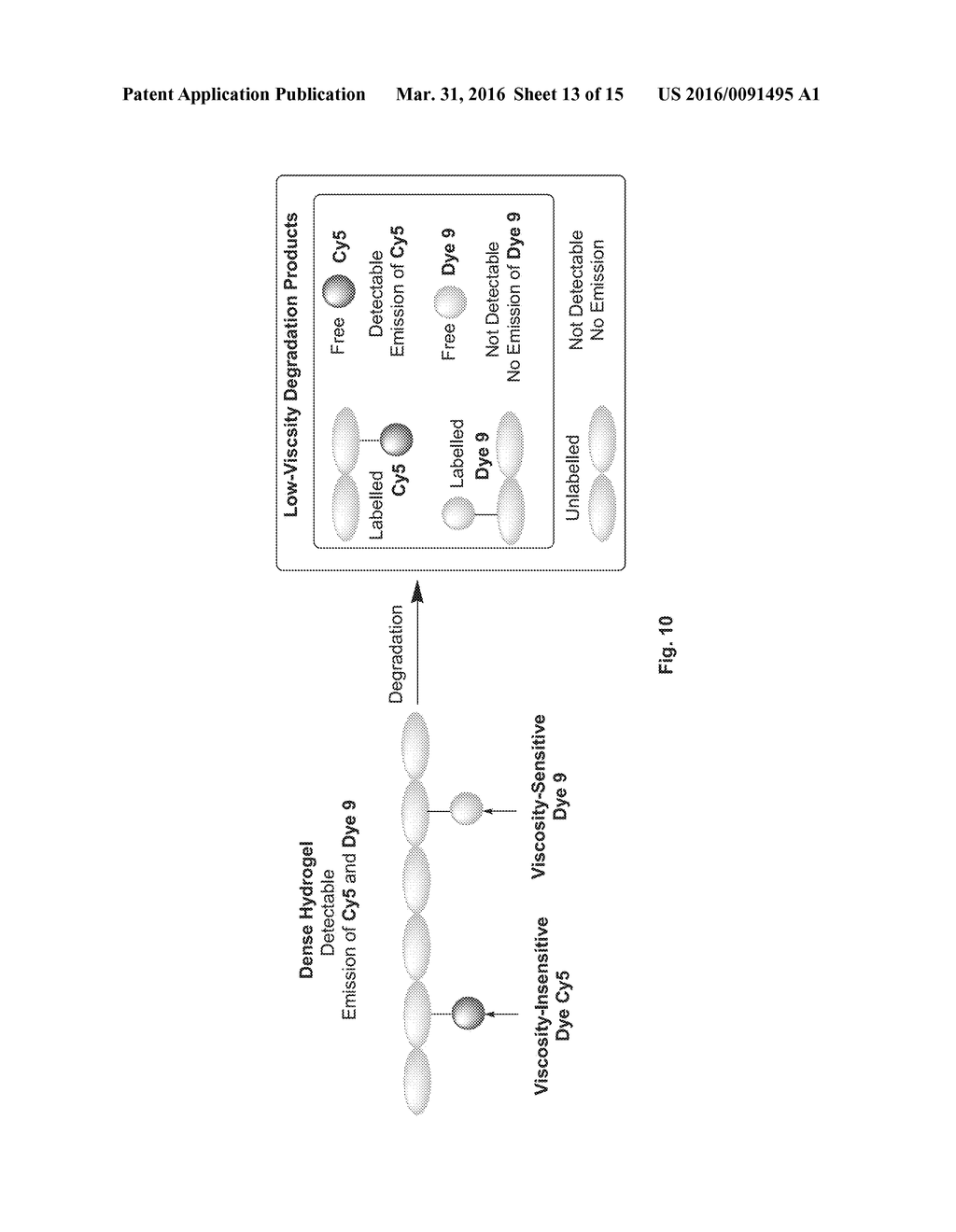 VISCOSITY-SENSITIVE DYES AND METHOD - diagram, schematic, and image 14