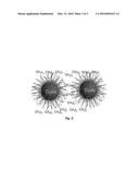 Neutron Detector diagram and image