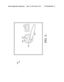 SYSTEMS FOR AUTOMATED TISSUE SAMPLE PROCESSING AND IMAGING diagram and image