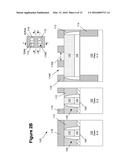 SEMICONDUCTOR DEVICES WITH REPLACEMENT GATE STRUCTURES diagram and image