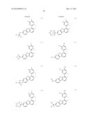 ORGANIC ELECTROLUMINESCENT MATERIALS AND DEVICES diagram and image