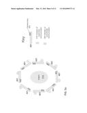 Collaborative Image Collection And Processing Using Portable Cameras diagram and image