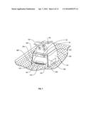 METHODS AND SYSTEMS FOR CULTURING MICROBIAL AND CELLULAR SEED CULTURES diagram and image