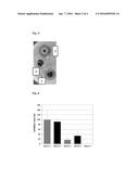 MIXTURE TO INCREASE THE EFFECTIVENESS OF ANTISEPTICS AND/OR DISINFECTANTS,     AN AGENT CONTAINING THE MIXTURE, AND THE USE OF THIS MIXTURE diagram and image