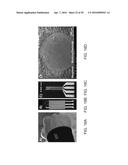 TEXTILE-BASED PRINTABLE ELECTRODES FOR ELECTROCHEMICAL SENSING diagram and image