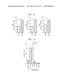 COMPOSITION FOR REDUCING CELL SENESCENCE COMPRISING RHO-KINASE INHIBITOR     AND USE THEREOF diagram and image