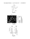 BET INHIBITION THERAPY FOR HEART DISEASE diagram and image