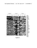 BET INHIBITION THERAPY FOR HEART DISEASE diagram and image