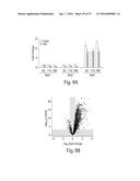 BET INHIBITION THERAPY FOR HEART DISEASE diagram and image