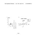 COMPOUNDS AS MODULATORS OF A MUTANT CFTR PROTEIN AND THEIR USE FOR     TREATING DISEASES ASSOCIATED WITH CFTR PROTEIN MALFUNCTION diagram and image